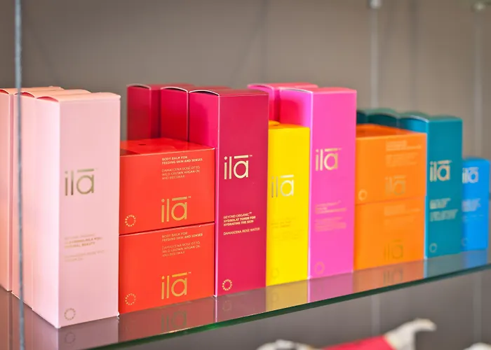 Salutation & Ambleside