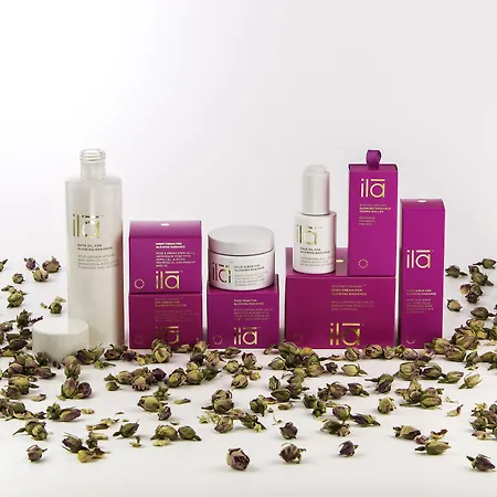 Hotel Salutation & 4*