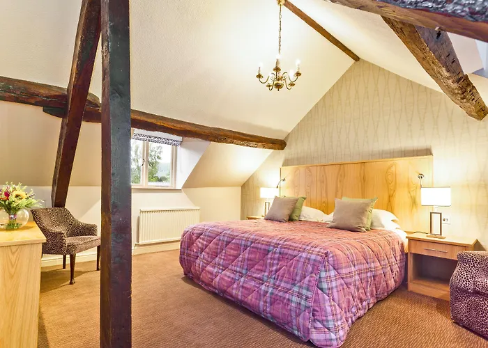 Hotel Salutation & 4*