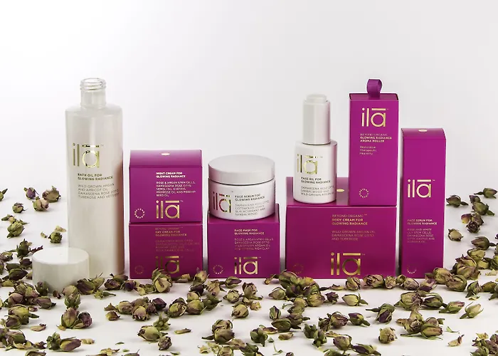 Hotel Salutation & 4*